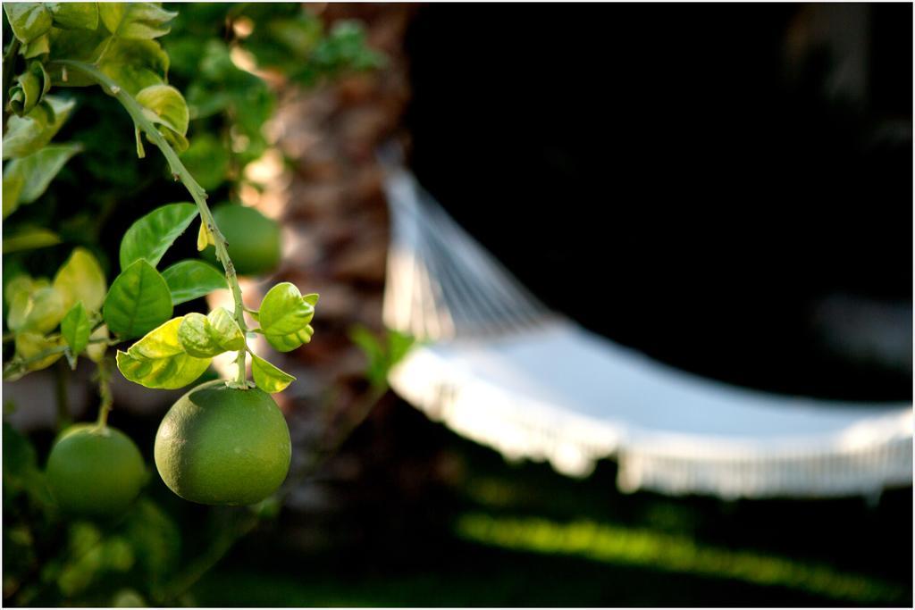 Ai Parchi Dei Parrini Bed and Breakfast Partinico Buitenkant foto